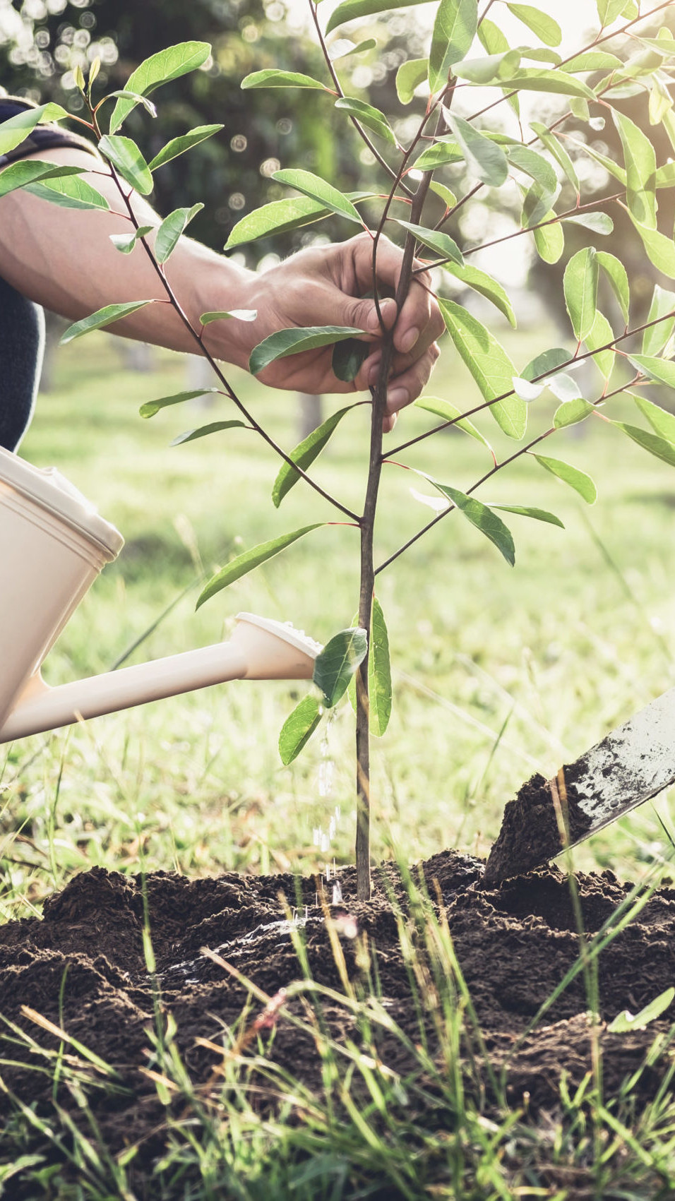 THE COMMUNITY INVESTMENT GUARANTEE POOL (CIGP) — two people planting a tree